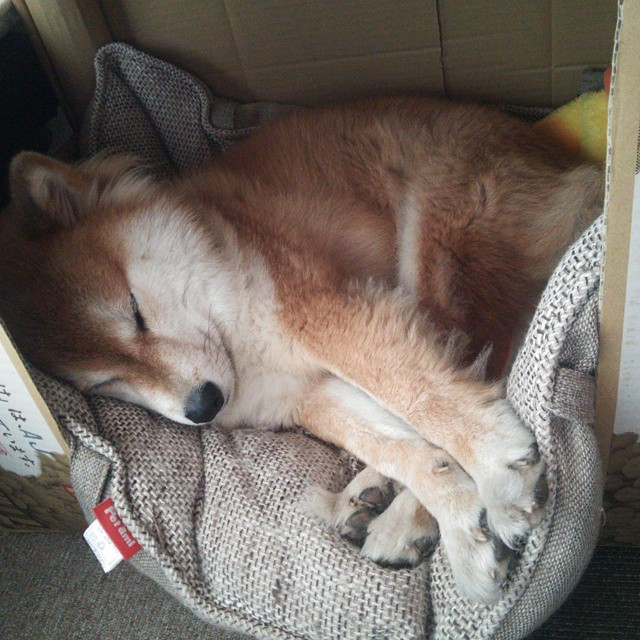 爱游戏下载-悬崖边的对望，当梁靖崑燃尽光芒，德国战车碾过最后的哨响