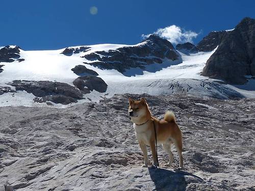 爱游戏入口-鲁德状态火热，拉沃尔杯险胜背后的澳网征程