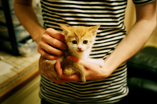 爱游戏官方入口-当深圳风暴席卷鹈鹕滩，勒布朗·詹姆斯如何点燃跨界篮球之火