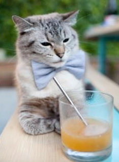 绝杀英雄卡拉斯科，饮冰十年血，终淬希腊神话