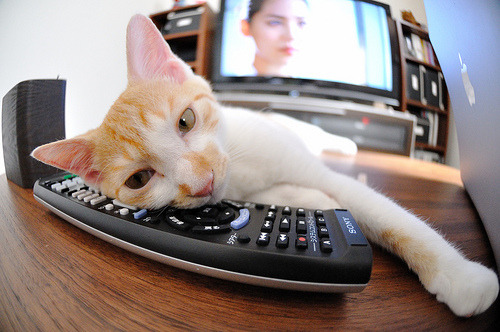 当篮球遇见绿茵，德罗赞的欧冠淘汰赛之夜