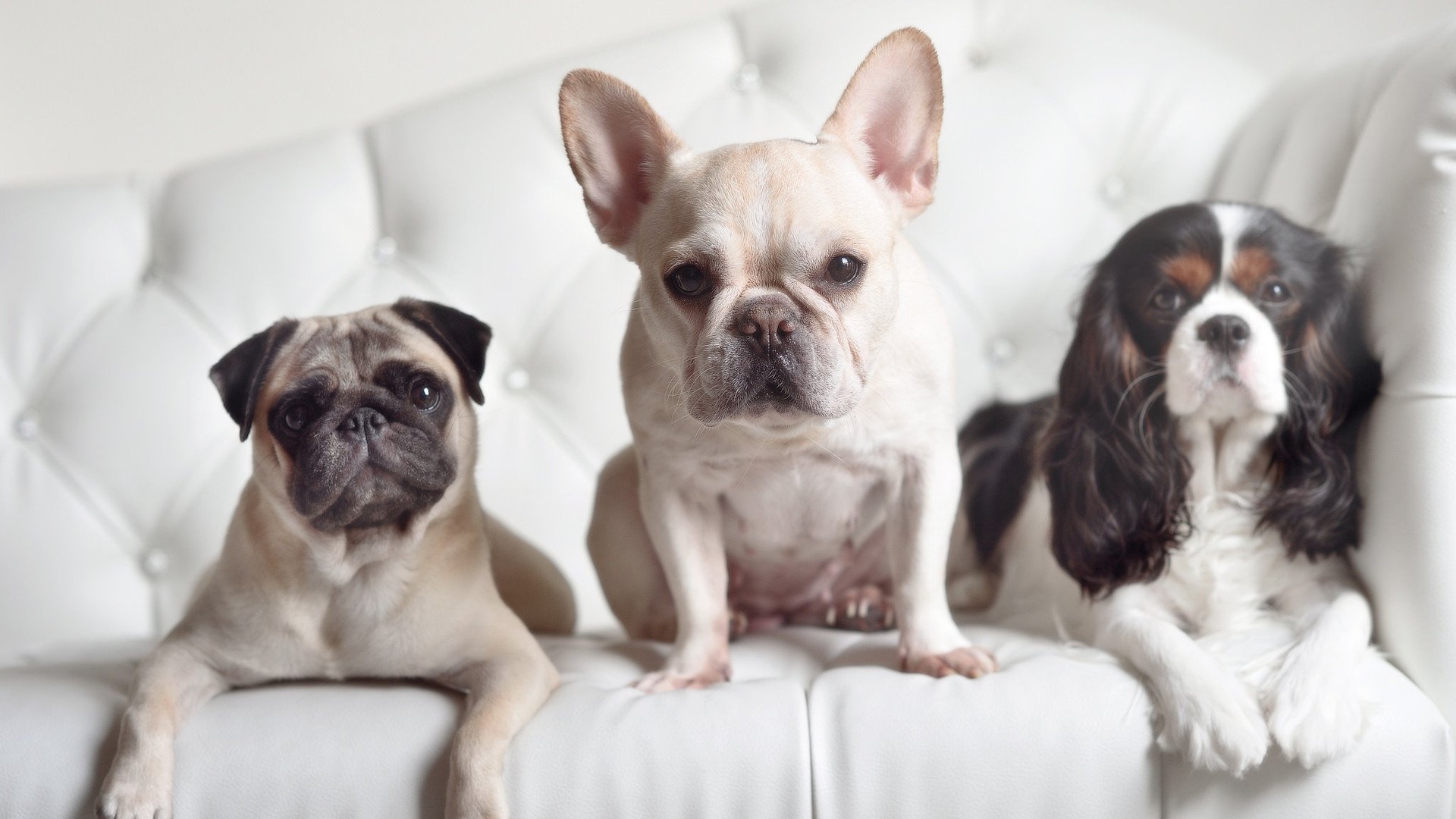 当足球心脏在新大陆搏动，记那个小贾伦不手软的世界杯史诗之夜