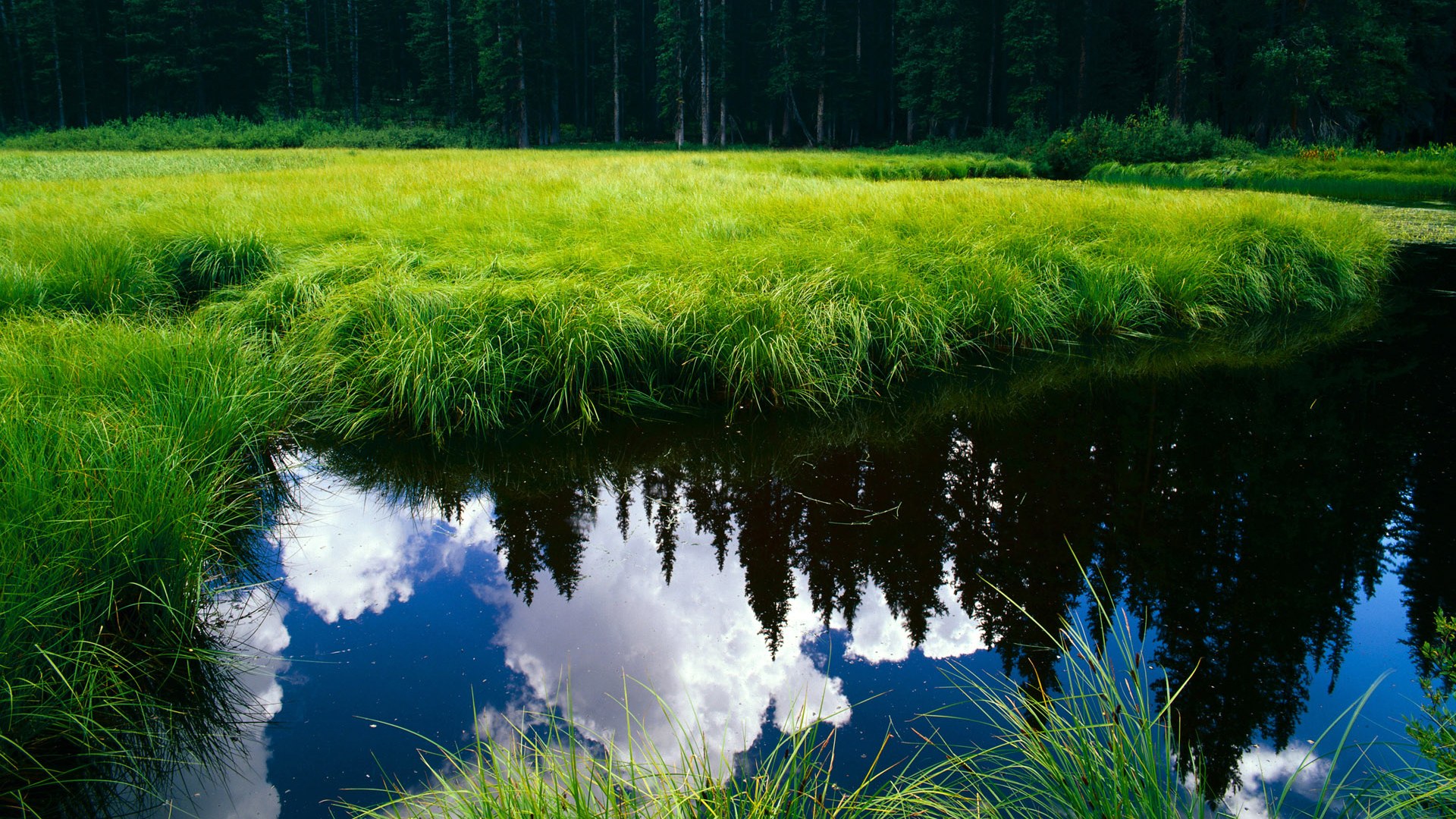 爱游戏官方入口-金玟哉一夫当关，国际米兰友谊赛零封荷兰的幕后英雄