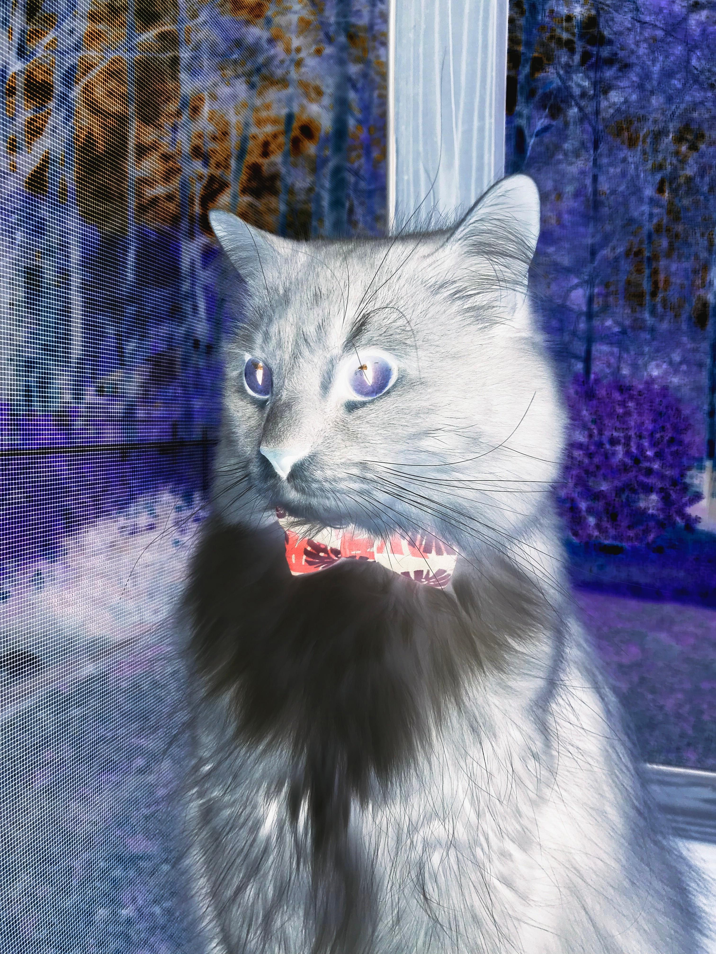 爱游戏tv-赛后评分拉满，是今晚的数据，更是二十一年的标尺