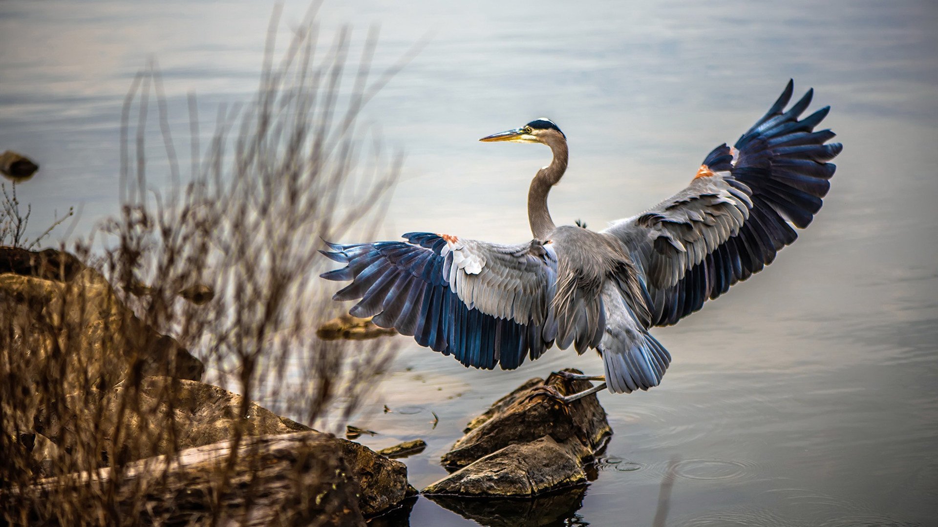爱游戏在线-丛林法则颠覆冰球神话，托尼惊艳四座助马里历史性战胜加拿大