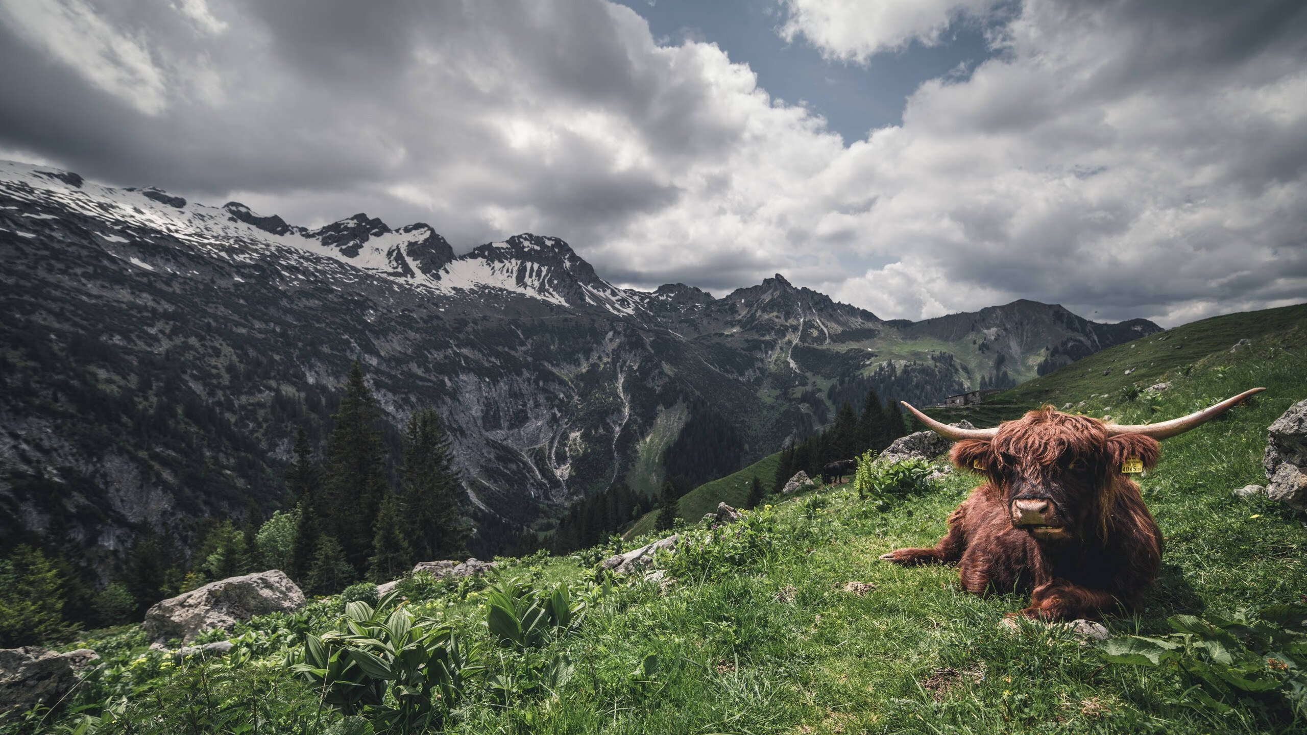 爱游戏在线-米切尔扛鼎之战！上海队爆冷击败NBA劲旅热火，改写中美篮球交锋史