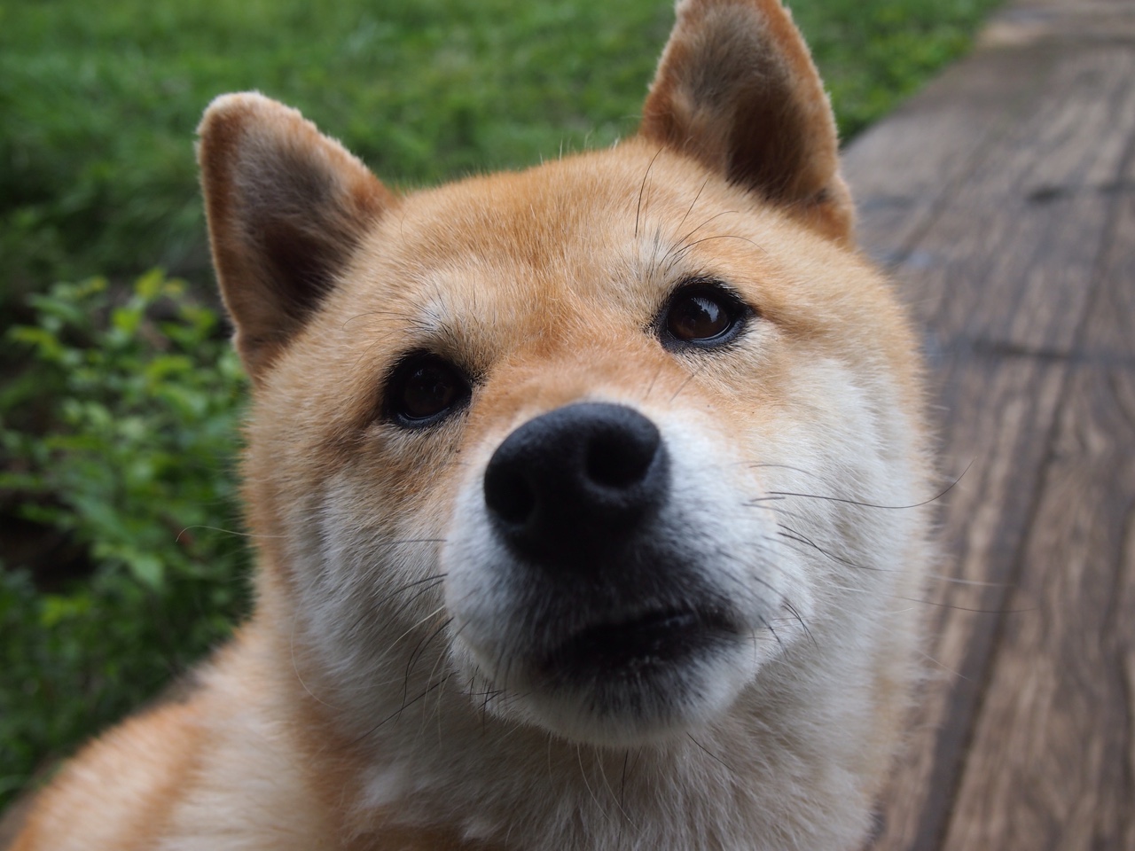 爱游戏娱乐-虚实之间，灵光一现，李刚仁的魔法如何让比利亚雷亚尔轻取乌克兰劲旅