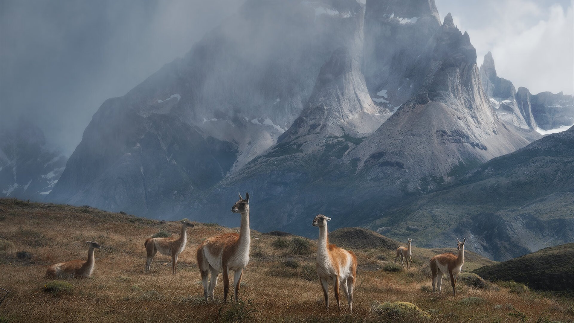 爱游戏-深圳队冰封南海岸，欧文末节20分率队粉碎热火不败金身