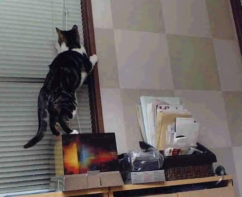 节奏的胜利，英格兰足球如何以节奏掌控西班牙，及阿克在欧冠国家德比中的主宰时刻