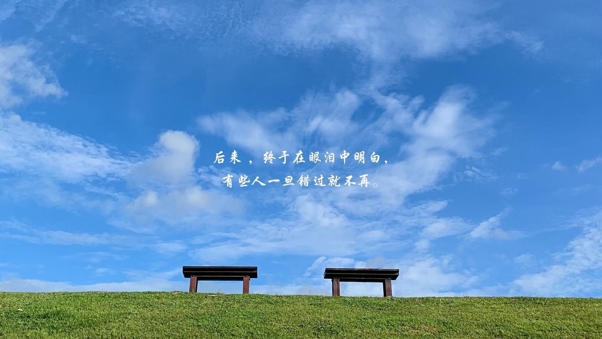 爱游戏下载-2026世界杯B组，厄瓜多尔碾压伊朗，哈兰德闪耀与钢铁防线铸就唯一不败神话